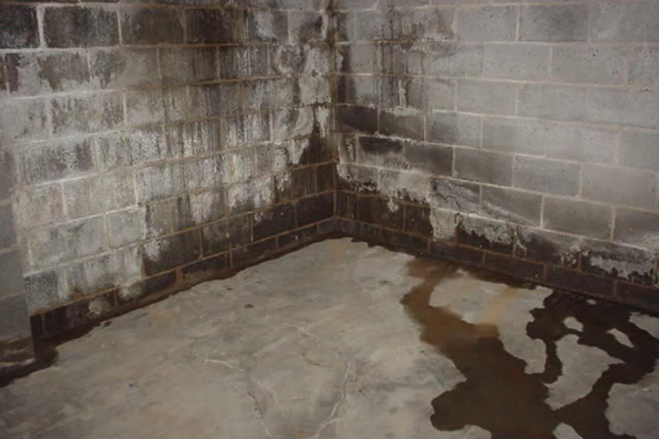 rain+and+moisture+make+basement+leaks+a+common+problem+1+2 16 18
